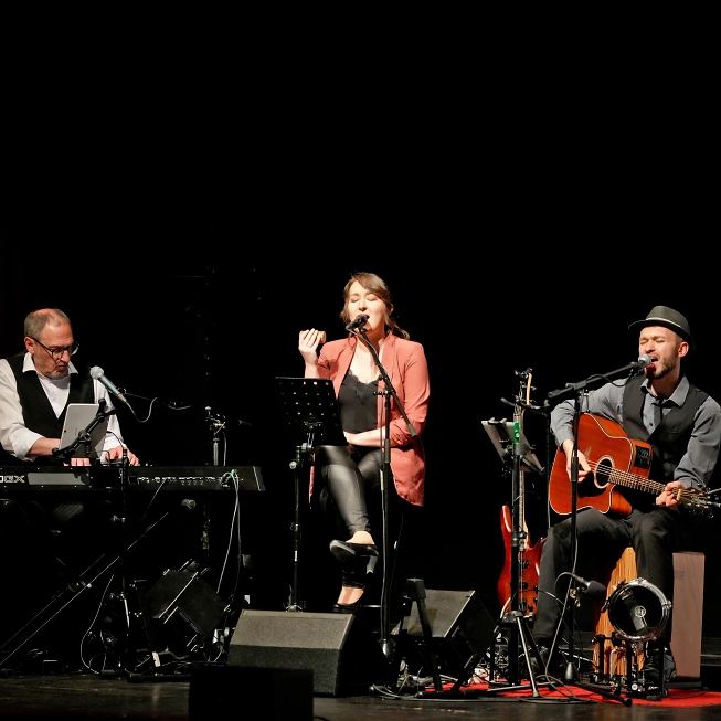 Titelbild für 'LIZHarmonic - handgemachte Livemusik'